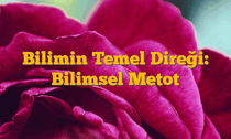 Bilimin Temel Direği: Bilimsel Metot