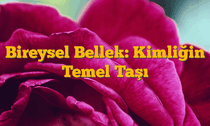 Bireysel Bellek: Kimliğin Temel Taşı