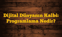 Dijital Dünyanın Kalbi: Programlama Nedir?