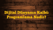 Dijital Dünyanın Kalbi: Programlama Nedir?