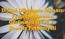 Dijital Dünyanın Mimarı: Programlamanın Görünmez Gücü ve Sonsuz Potansiyeli