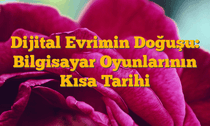 Dijital Evrimin Doğuşu: Bilgisayar Oyunlarının Kısa Tarihi