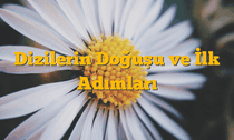 Dizilerin Doğuşu ve İlk Adımları
