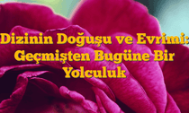 Dizinin Doğuşu ve Evrimi: Geçmişten Bugüne Bir Yolculuk