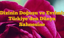 Dizinin Doğuşu ve Evrimi: Türkiyeâ€™den Dünya Sahnesine
