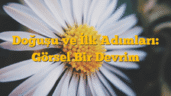 Doğuşu ve İlk Adımları: Görsel Bir Devrim