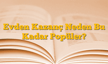 Evden Kazanç Neden Bu Kadar Popüler?