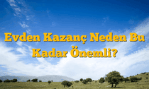 Evden Kazanç Neden Bu Kadar Önemli?
