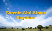Evrenin Akıl Almaz Boyutları