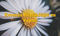 Evrenin Büyüklüğü ve Yapısı