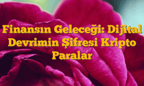 Finansın Geleceği: Dijital Devrimin Şifresi Kripto Paralar