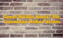 Genel Kültür Nedir? Bir Tanımdan Daha Fazlası