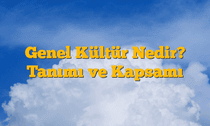 Genel Kültür Nedir? Tanımı ve Kapsamı