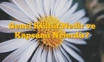 Genel Kültür Nedir ve Kapsamı Nelerdir?