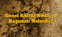 Genel Kültür Nedir ve Kapsamı Nelerdir?