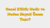 Genel Kültür Nedir ve Neden Hayati Önem Taşır?