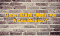 Genel Kültür Nedir ve Neleri Kapsar?