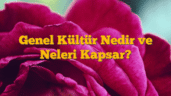 Genel Kültür Nedir ve Neleri Kapsar?
