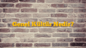 Genel Kültür Nedir?