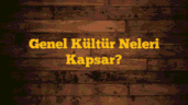 Genel Kültür Neleri Kapsar?