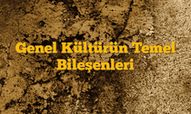 Genel Kültürün Temel Bileşenleri