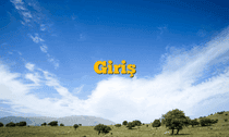 Giriş