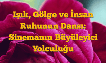 Işık, Gölge ve İnsan Ruhunun Dansı: Sinemanın Büyüleyici Yolculuğu