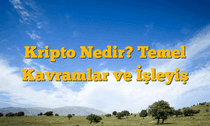 Kripto Nedir? Temel Kavramlar ve İşleyiş