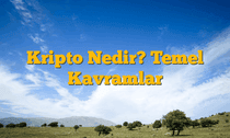 Kripto Nedir? Temel Kavramlar