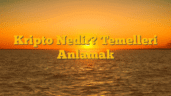 Kripto Nedir? Temelleri Anlamak