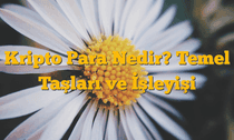 Kripto Para Nedir? Temel Taşları ve İşleyişi