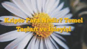 Kripto Para Nedir? Temel Taşları ve İşleyişi