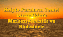 Kripto Paraların Temel Dinamikleri: Merkeziyetsizlik ve Blokzincir