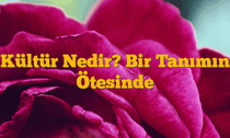 Kültür Nedir? Bir Tanımın Ötesinde