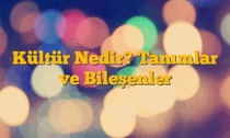 Kültür Nedir? Tanımlar ve Bileşenler