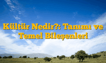 Kültür Nedir?: Tanımı ve Temel Bileşenleri
