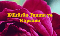 Kültürün Tanımı ve Kapsamı