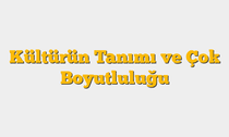 Kültürün Tanımı ve Çok Boyutluluğu