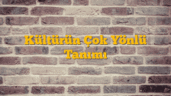 Kültürün Çok Yönlü Tanımı