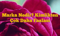Marka Nedir? Kimlikten Çok Daha Fazlası