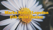 Marka Nedir? Logodan Çok Daha Fazlası