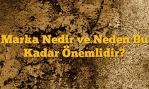 Marka Nedir ve Neden Bu Kadar Önemlidir?