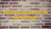 Markanın Anatomisi: Bir Kimlik İnşası