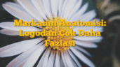 Markanın Anatomisi: Logodan Çok Daha Fazlası