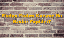 Neden Evden Kazanç Bu Kadar Popüler?