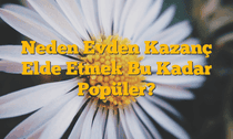 Neden Evden Kazanç Elde Etmek Bu Kadar Popüler?