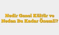Nedir Genel Kültür ve Neden Bu Kadar Önemli?
