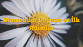 Otomobilin Doğuşu ve İlk Adımlar