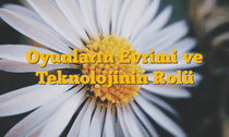Oyunların Evrimi ve Teknolojinin Rolü