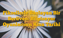 Piksellerle Başlayan Bir Serüven: Bilgisayar Oyunlarının Kısa Tarihi